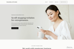 Pagoda is a stunning website template crafted for agencies