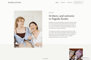 Pagoda is a stunning website template crafted for agencies